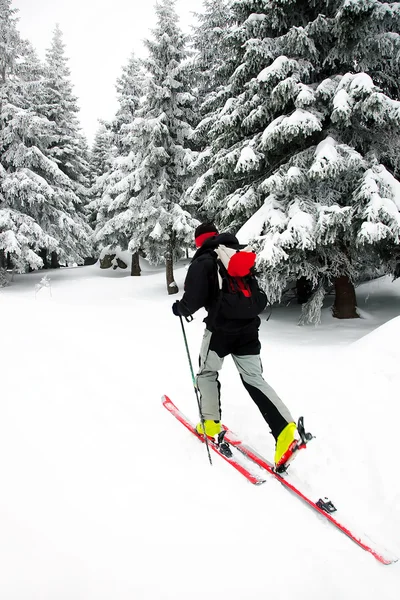 Ski touring in harsh winter conditions — Stock Photo, Image