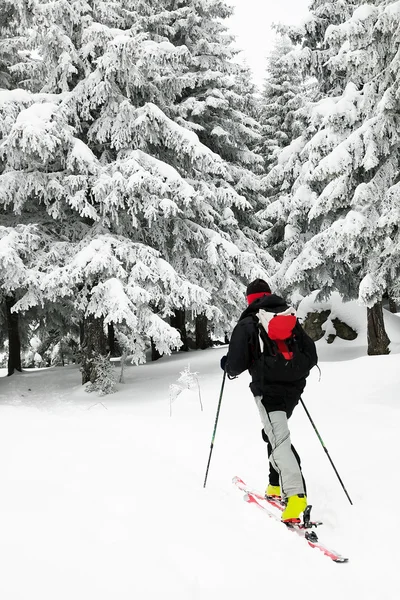 Skialpinismus v drsných zimních podmínkách — Stock fotografie