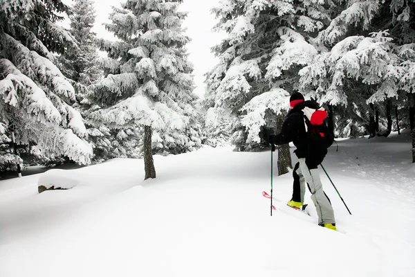 Ski touring in harsh winter conditions — Stock Photo, Image