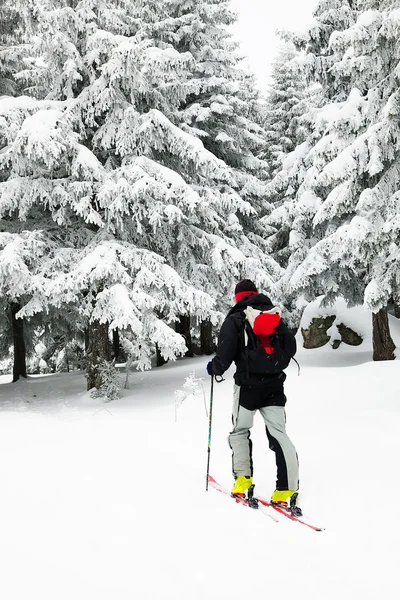 Ski de randonnée dans des conditions hivernales difficiles — Photo