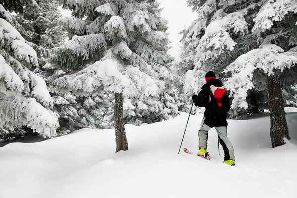 Ski touring in harsh winter conditions — Stock Photo, Image