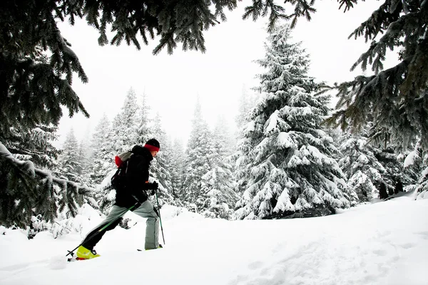 Ski touring in harsh winter conditions — Stock Photo, Image