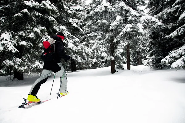 Skialpinismus v drsných zimních podmínkách — Stock fotografie