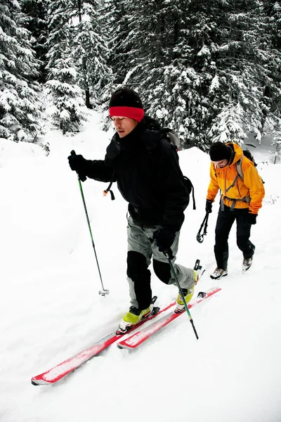 Катание на лыжах в суровых зимних условиях — стоковое фото