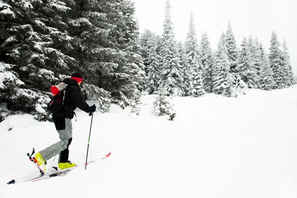 厳しい冬の条件のスキーツアー — ストック写真