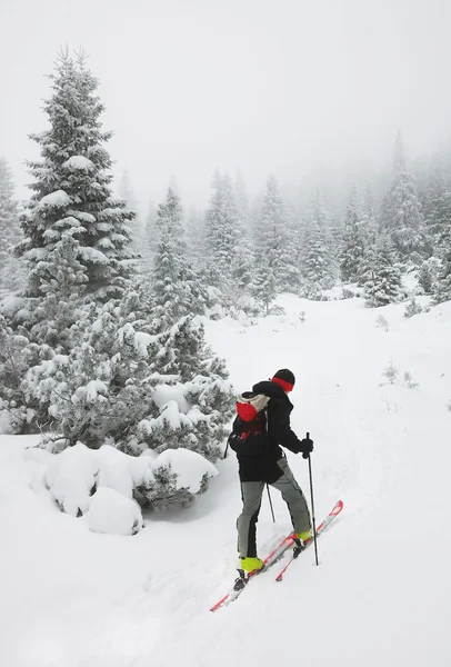 Ski touring in harsh winter conditions — Stock Photo, Image