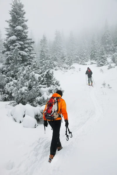 Esquí de travesía en duras condiciones de invierno —  Fotos de Stock