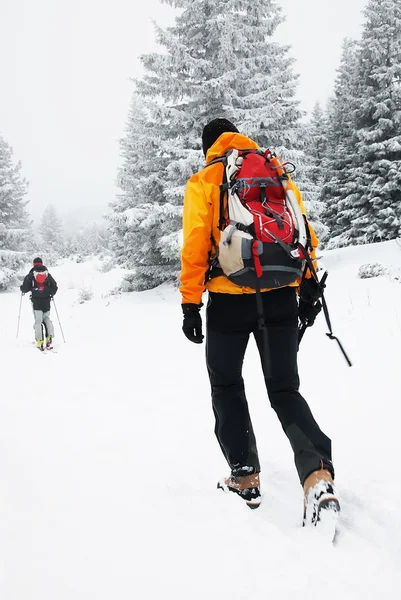 Ski touring in harsh winter conditions — Stock Photo, Image