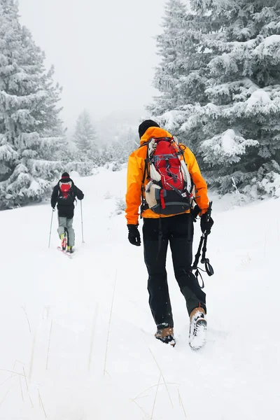 Skialpinismus v drsných zimních podmínkách — Stock fotografie