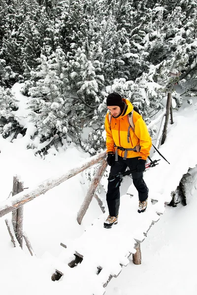 Passeio de esqui em duras condições de inverno — Fotografia de Stock