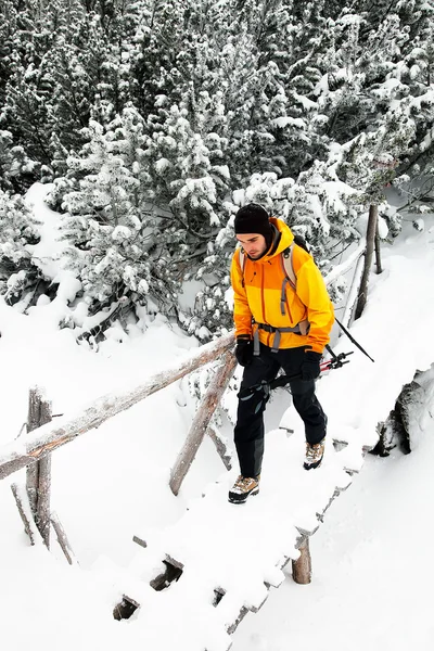 Ski touring in harsh winter conditions — Stock Photo, Image