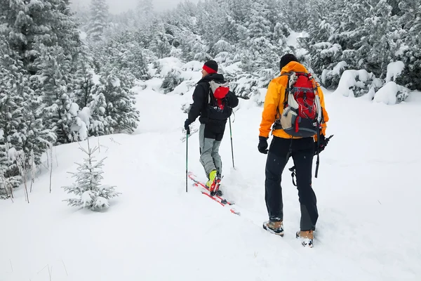 Ski touring in barre winterse omstandigheden — Stockfoto