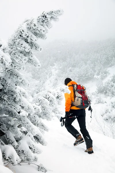 Scialpinismo in rigide condizioni invernali — Foto Stock