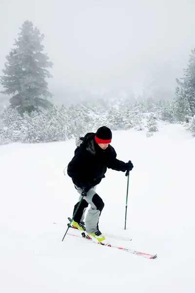 Skialpinismus v drsných zimních podmínkách — Stock fotografie