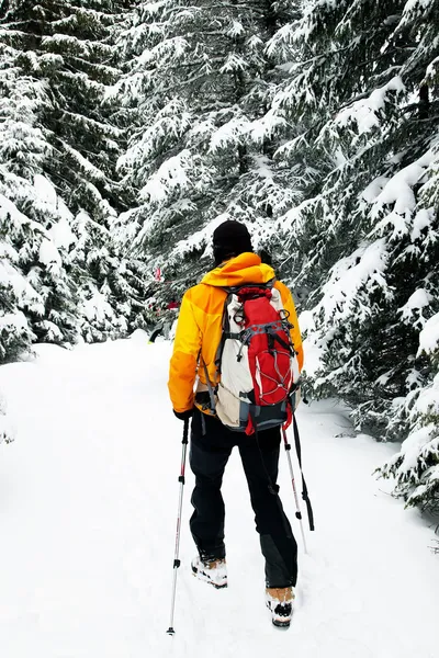 Ski touring in harsh winter conditions — Stock Photo, Image