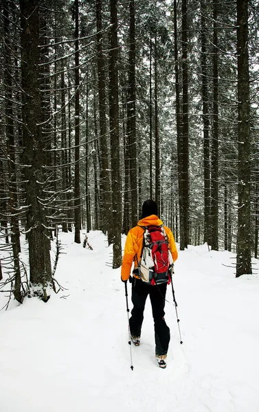 Ski touring in harsh winter conditions — Stock Photo, Image