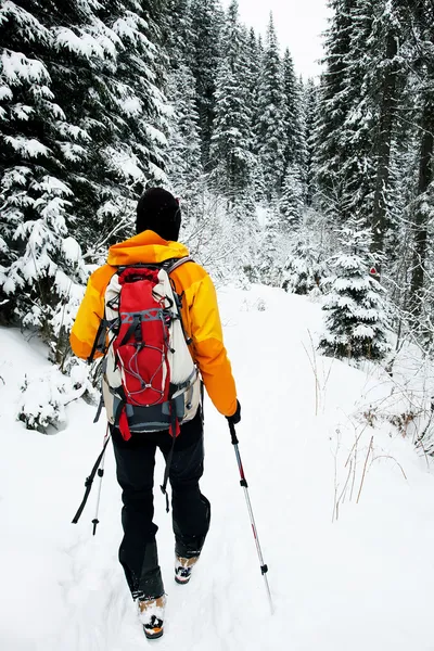 Ski touring in harsh winter conditions — Stock Photo, Image