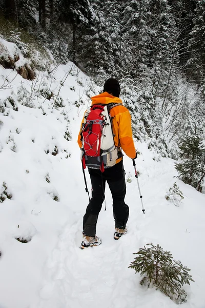 Ski touring w trudnych zimowych warunkach — Zdjęcie stockowe