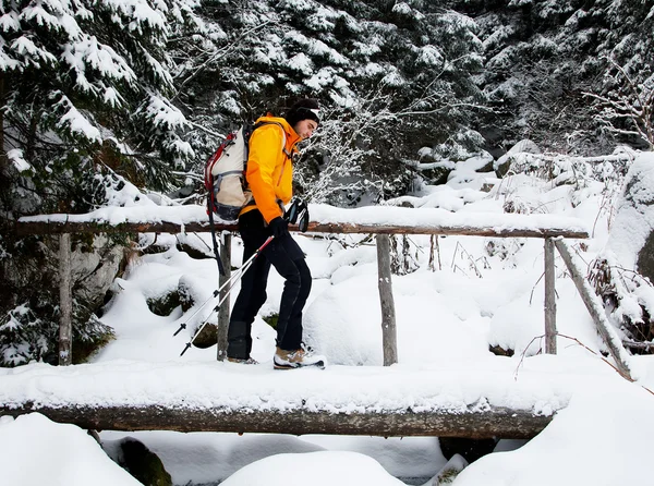 Ski touring in harsh winter conditions — Stock Photo, Image