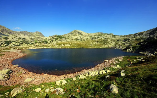 Madeira serrada em National Park Retezat, Roménia — Fotografia de Stock