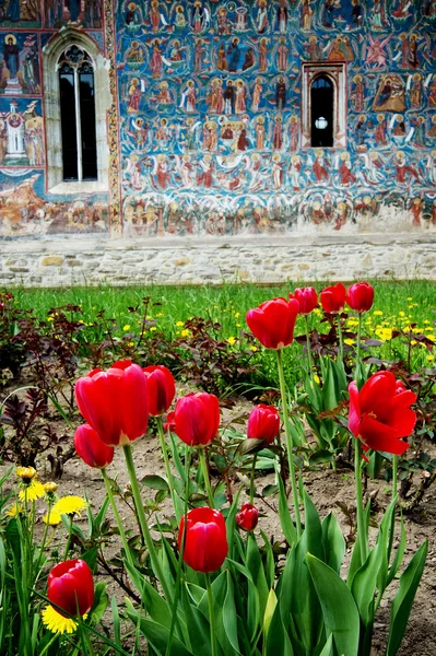 Pintura mural religiosa del monasterio de Moldovita, Moldavia, Rumania —  Fotos de Stock