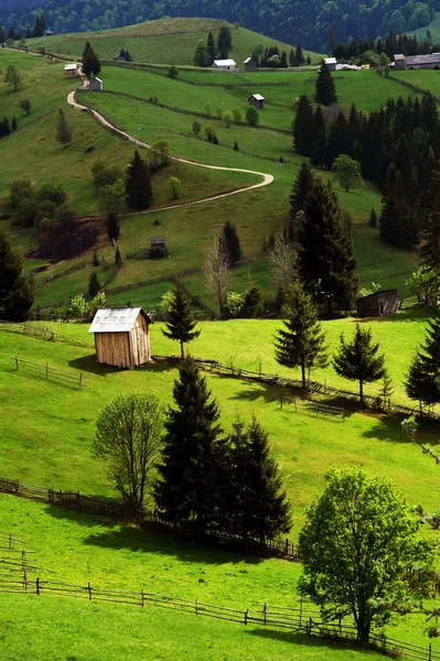 서양 Carpathians, Moldavia, 루마니아에서에서 산 마 — 스톡 사진