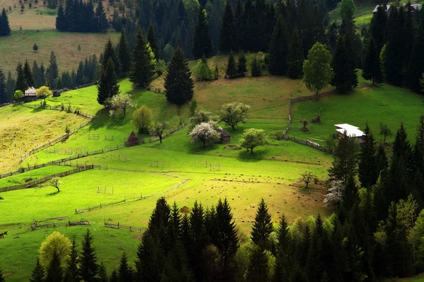 Mountain village in the Occidental Carpathians, Moldavia, Romania — Stock Photo, Image