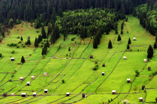 Гірське селище в Occidental Карпати, Молдавії, Румунія — стокове фото