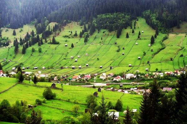 Village de montagne dans les Carpates Occidentales, Moldavie, Roumanie — Photo