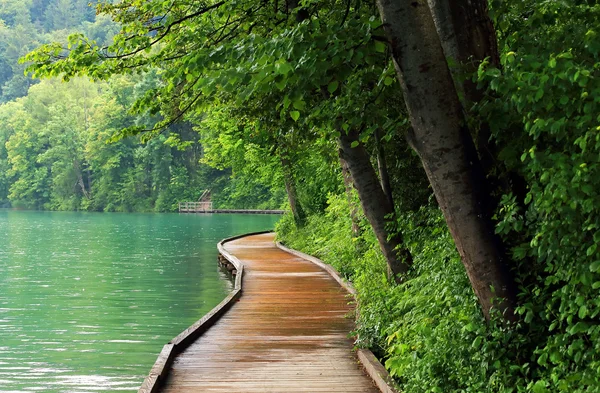 Bled tó, Szlovénia, Európa — Stock Fotó