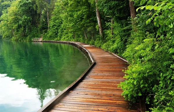 lake Bled, Slovenya, Avrupa