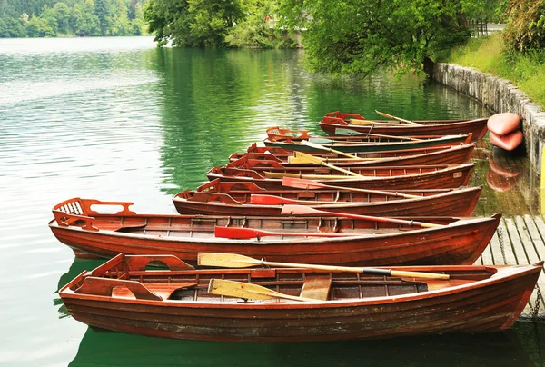 Ausgebluteter See, Slowenien, Europa — Stockfoto