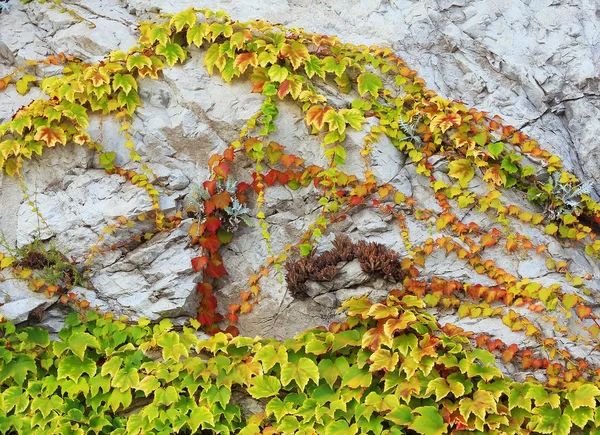 Architektonisches Detail in ravello — Stockfoto