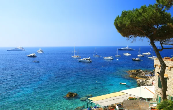 Capri island, Itálie, Evropa — Stock fotografie