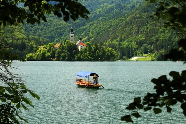 Βάρκα στη λίμνη bled, της Σλοβενίας, Ευρώπη — Φωτογραφία Αρχείου