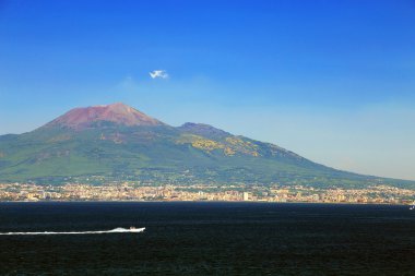 Vezüv Yanardağı ve defne, Napoli, İtalya
