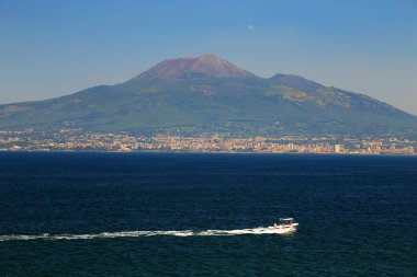 Vezüv Yanardağı ve defne, Napoli, İtalya