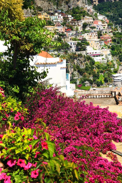 De belles fleurs rouges. Positano sur la côte amalfitaine . — Photo