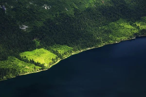 Göl bohinj vogel teleferik istasyonuna üst, Slovenya