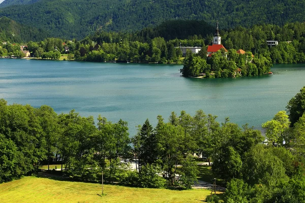 Widok Kościoła Najświętszej Marii Panny assumptionon, jezioro Przeciekać Słowenia — Zdjęcie stockowe