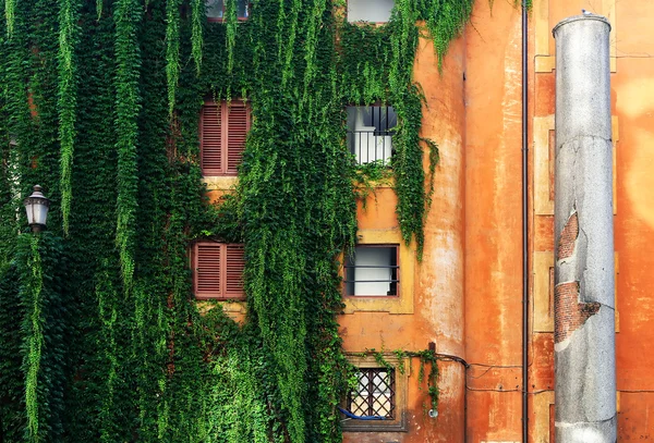 Architectural detail in Roma, Italy, Europe — Stock Photo, Image