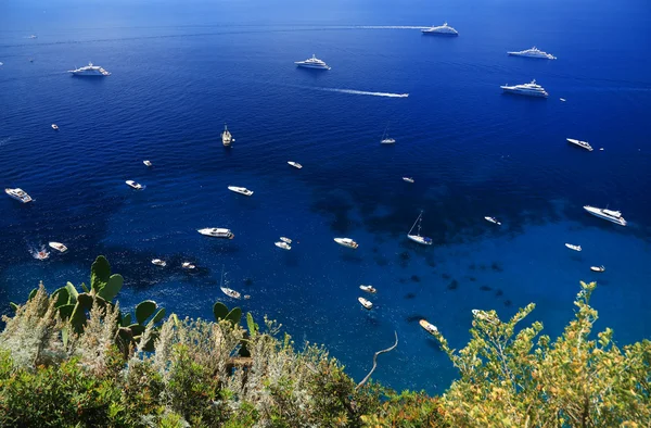 Capri island, italien, europa — Stockfoto