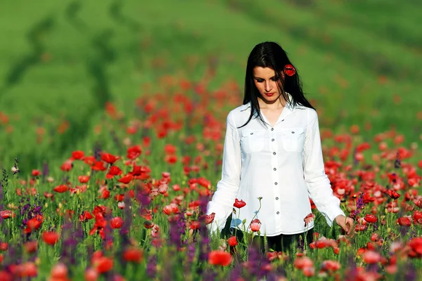 Young brunette beautiful girl enjoying the spring flowers — Stock Photo, Image