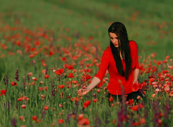 Young brunette beautiful girl enjoying the spring flowers — Stock Photo, Image