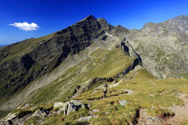 buzul Vadisi Transilvanya Alpleri, Romanya