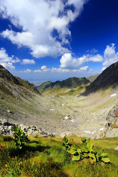 Transylvánské Alpy, Rumunsko — Stock fotografie