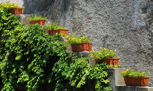 Aangelegde tuin pad met natuurlijke stenen trappen — Stockfoto
