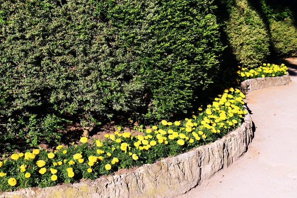 Giardino a Ravello, Costiera Amalfitana — Foto Stock