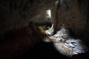 Occidental Karpatlar, radesei Mağarası, Romanya
