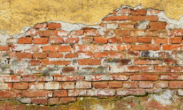 Old brick wall — Stock Photo, Image